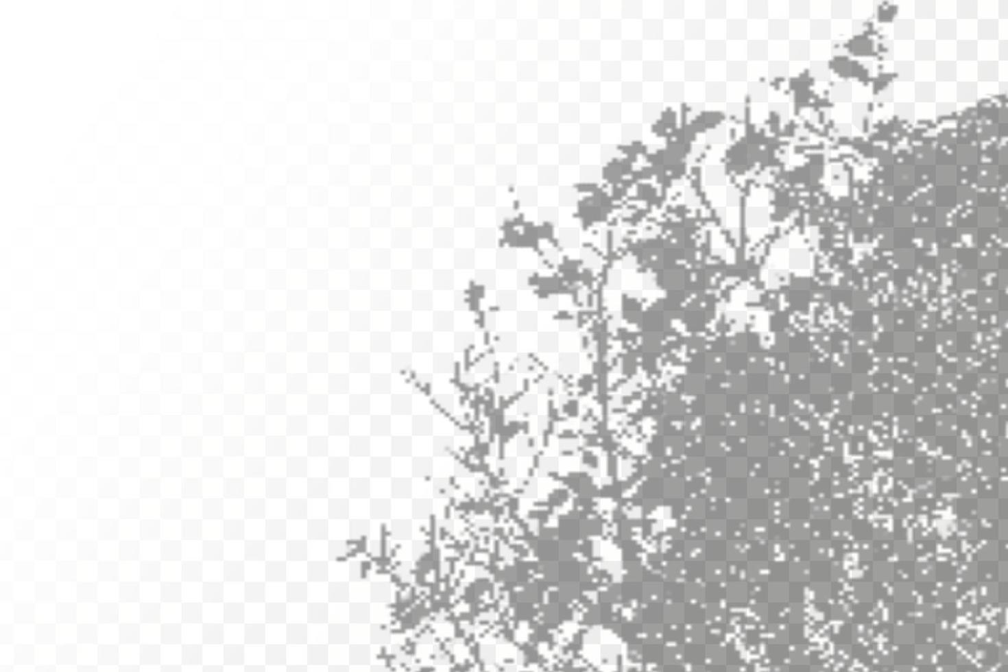 Realistic shadow tropical leaves and branches on transparent checkered background. The effect of overlaying shadows. Natural light layout. vector