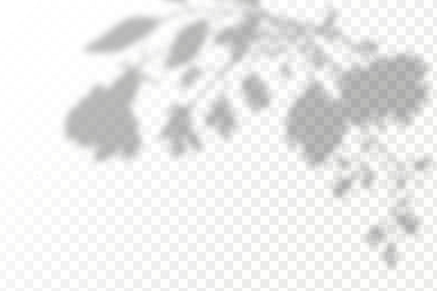 Realistic shadow tropical leaves and branches on transparent checkered background. The effect of overlaying shadows. Natural light layout. vector