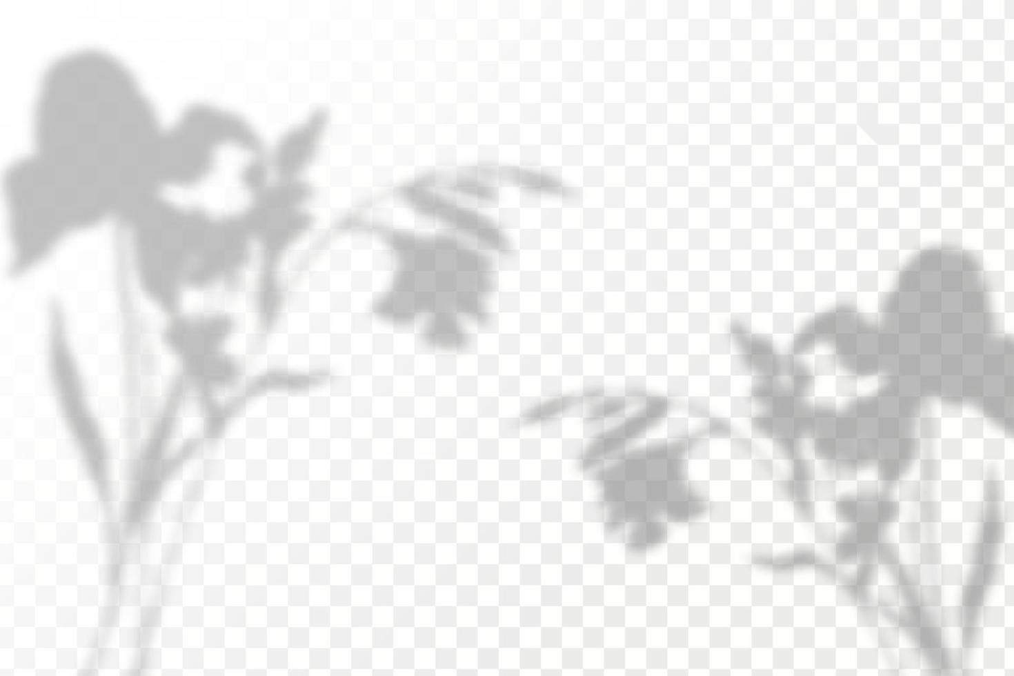 Realistic shadow tropical leaves and branches on transparent checkered background. The effect of overlaying shadows. Natural light layout. vector