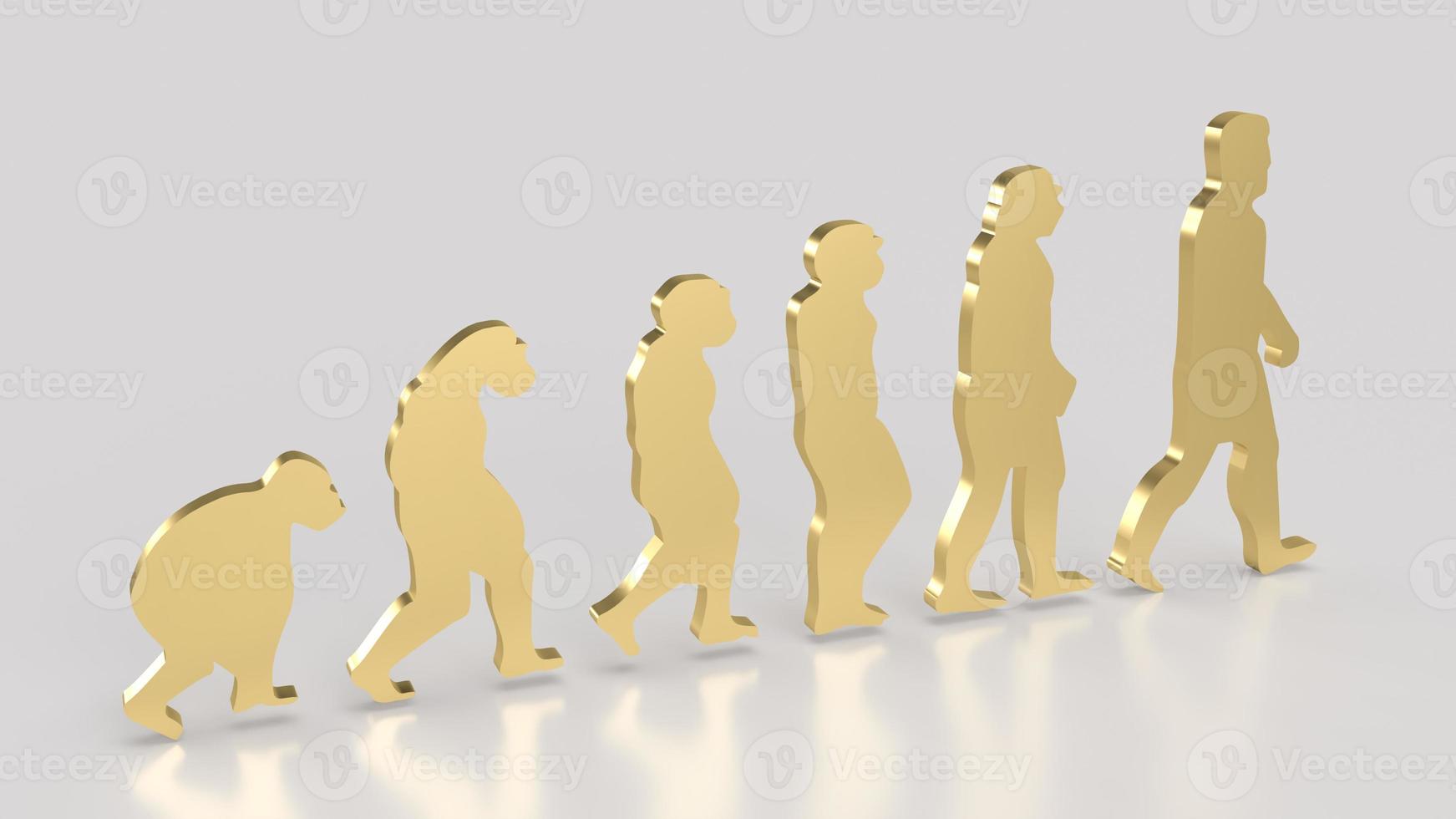 The human evolution image for education or sci concept 3d rendering photo