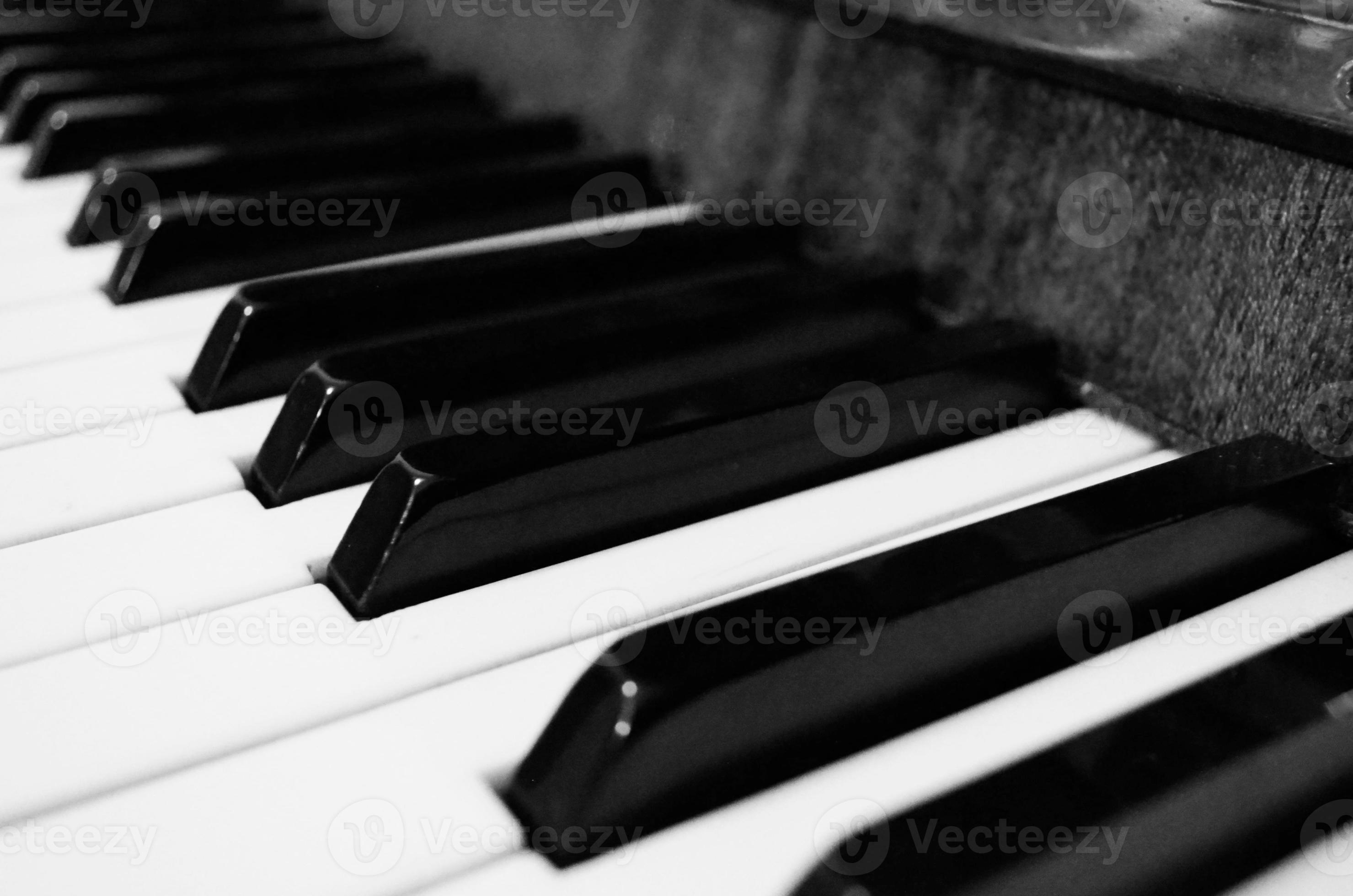 Black and white piano keyboard. Piano keyboard monochrome closeup