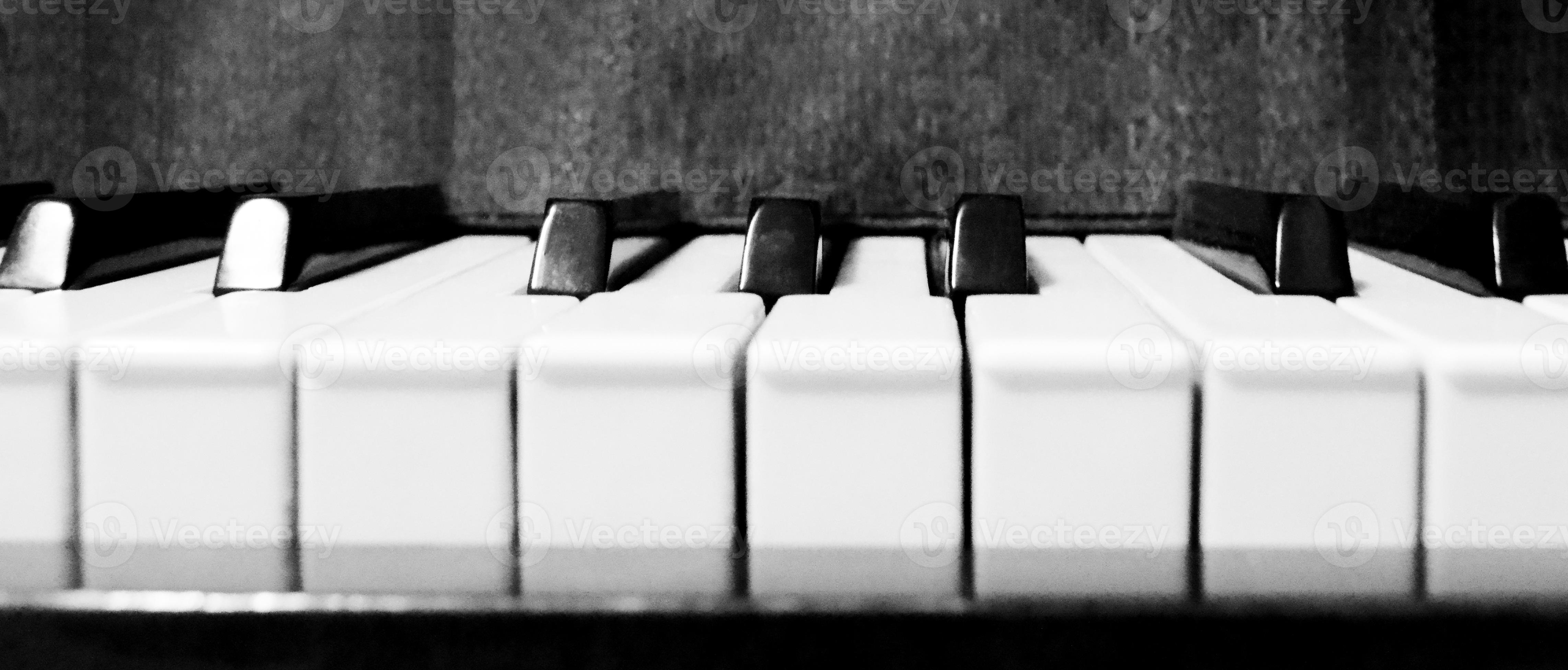 Black and white piano keyboard. Piano keyboard monochrome closeup