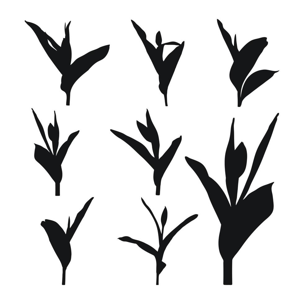 Real modern silhouettes plants, herbs. Drawing tulip. Flat design art design template. vector