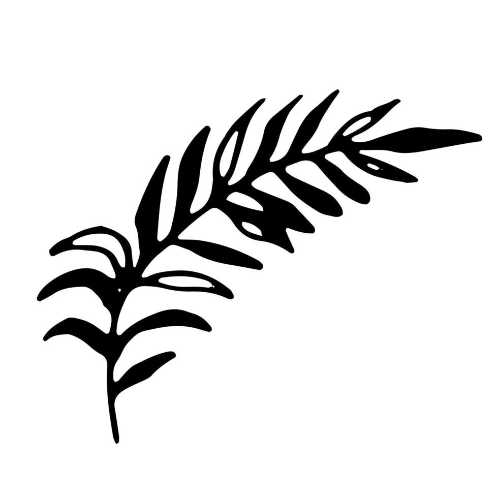 Palm branch. Vector clipart