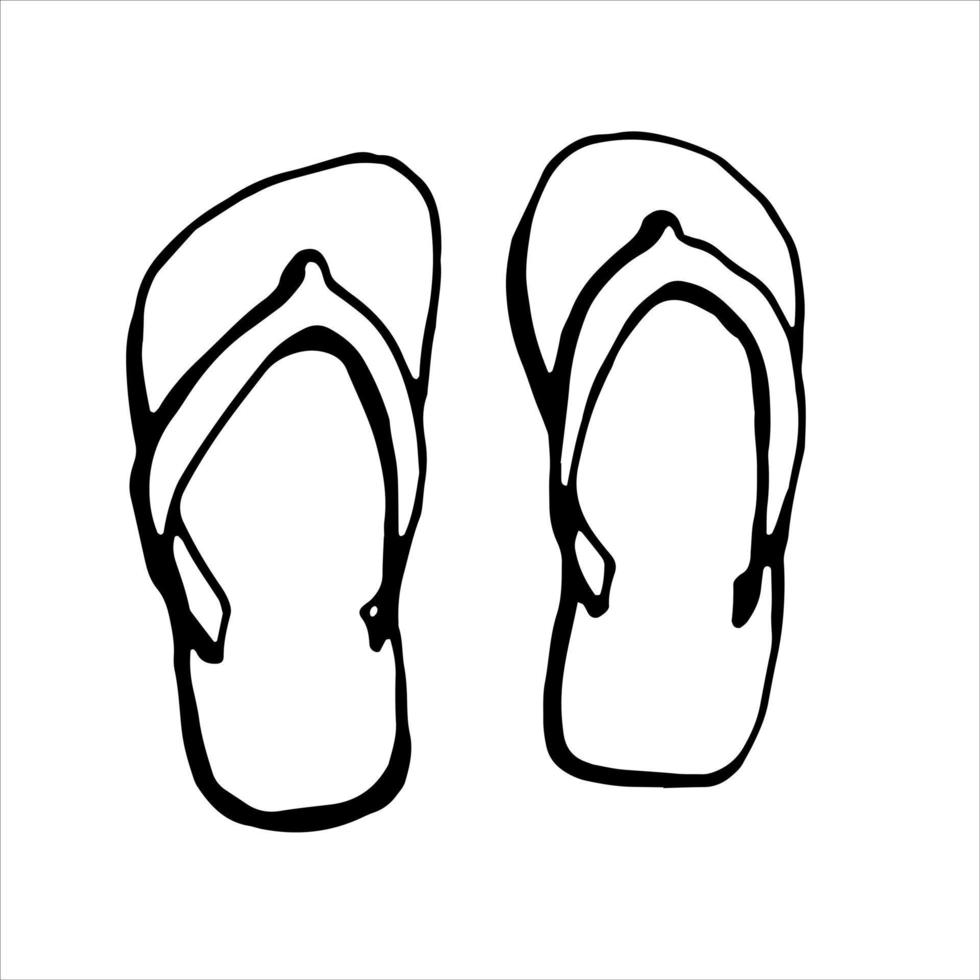 Flip-flops, slippers. Vector