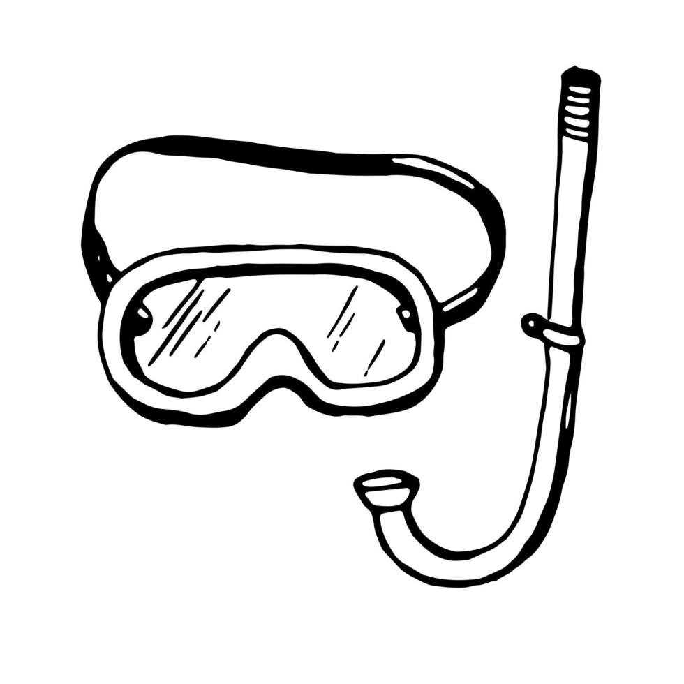 Diving mask and snorkel. Vector clipart