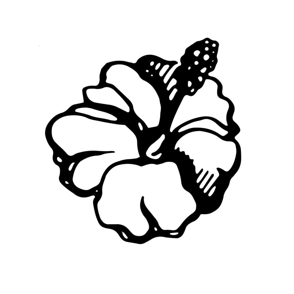 Hibiscus flower. Vector clipart 23132973 Vector Art at Vecteezy