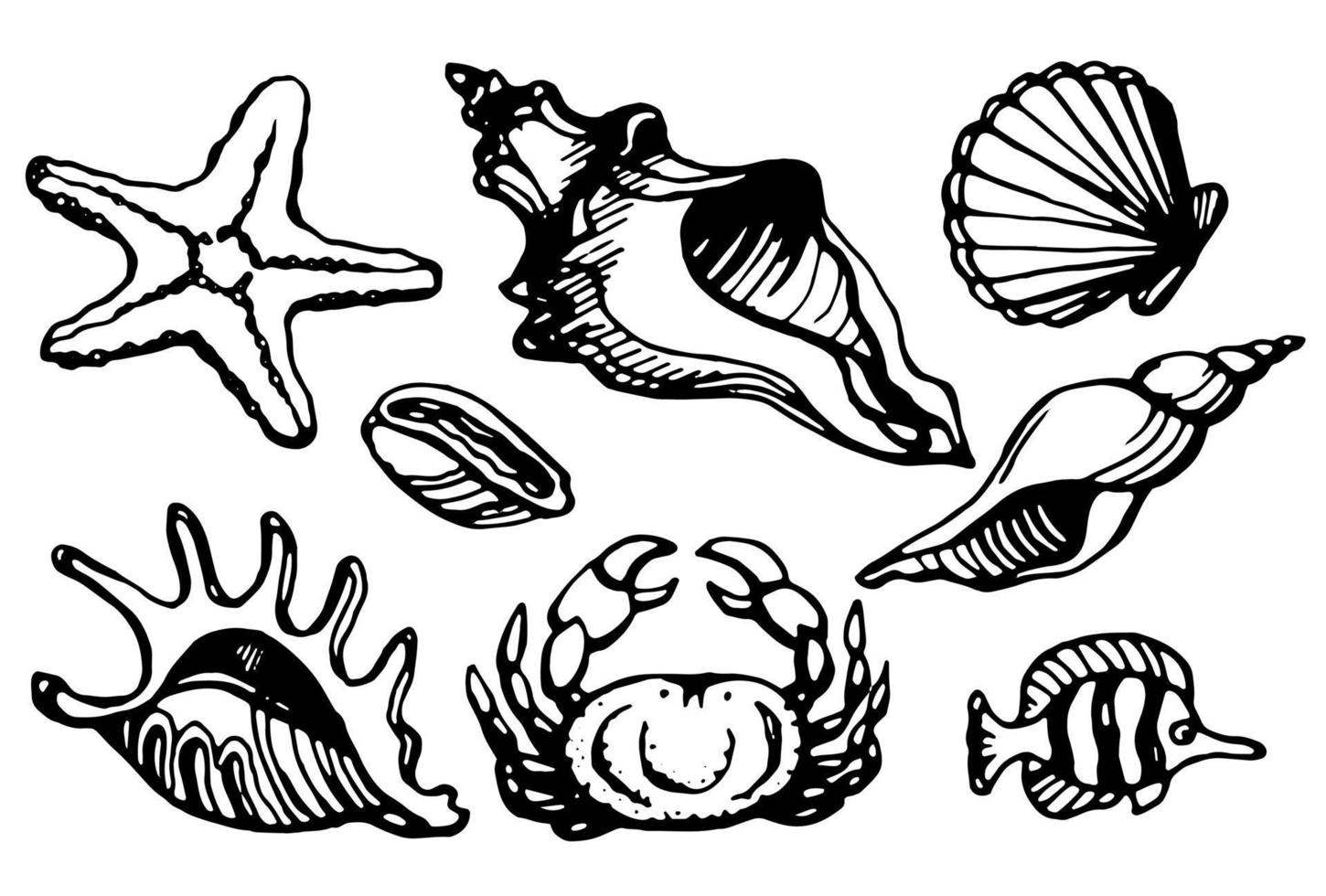 Underwater world. Set of shells, ribka, crab, starfish. Vector