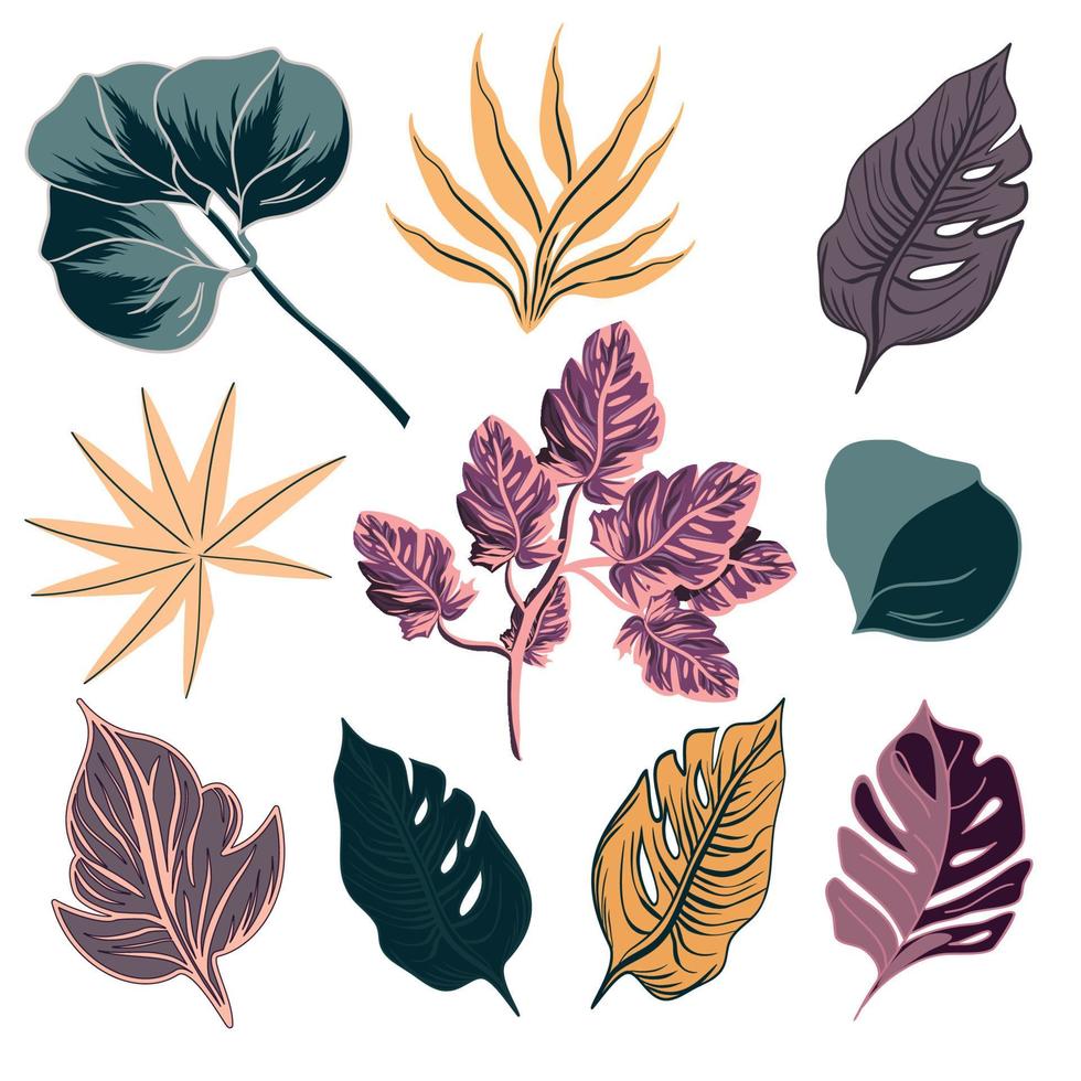 Set of tropical exotic leaves vector