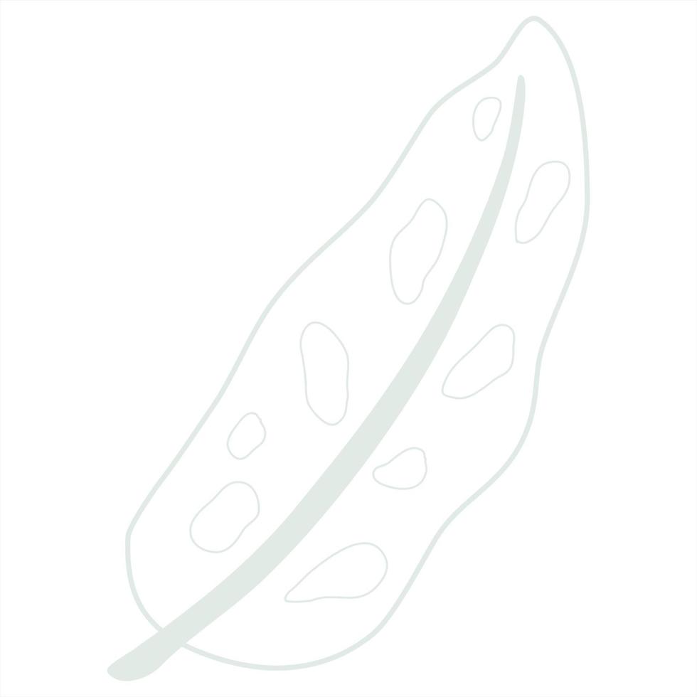 Line art leaf vector