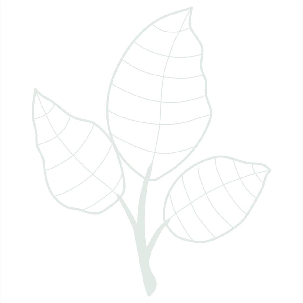 Line art leaf vector