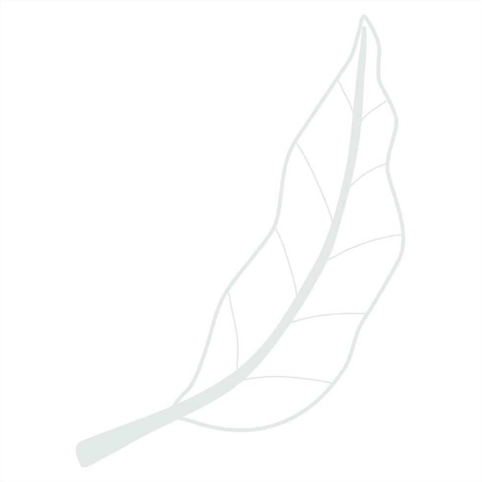 Line art leaf 23133731 Vector Art at Vecteezy