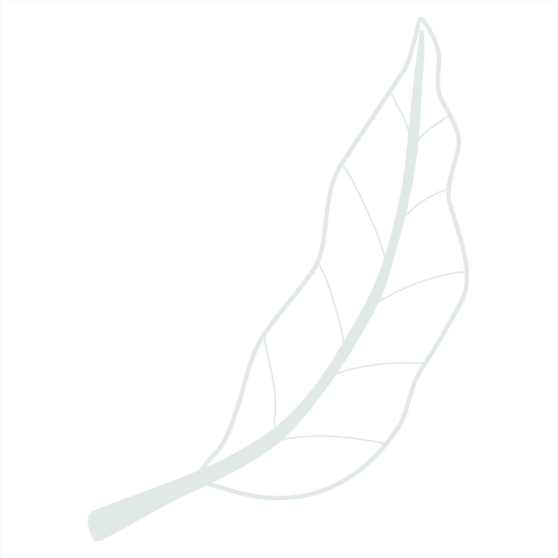 Line art leaf 23133731 Vector Art at Vecteezy