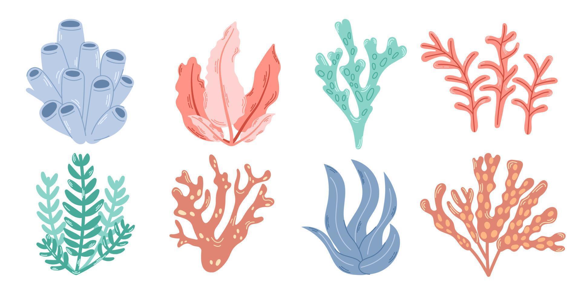 Set of 8 elements of underwater planting. Bright colorful set of seaweed and corals. Modern flat illustration. vector