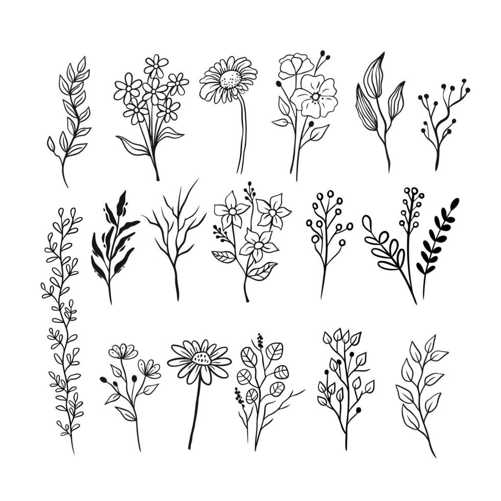 a set of  hand-drawn floral drawing vector