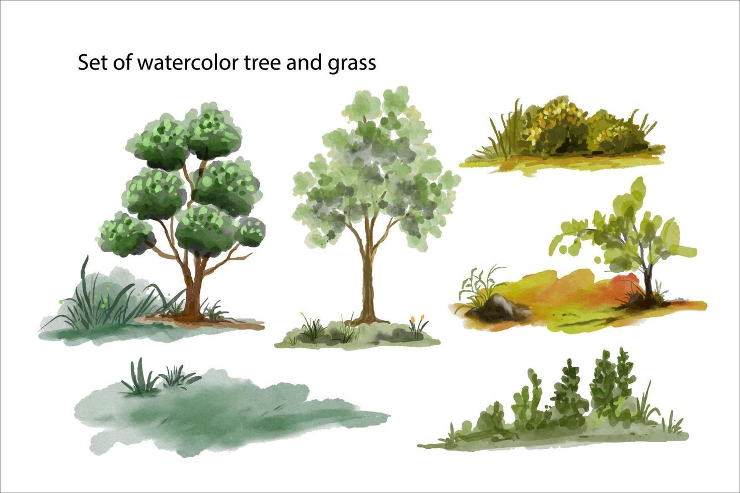 a set watercolor illustration of trees and grasses vector