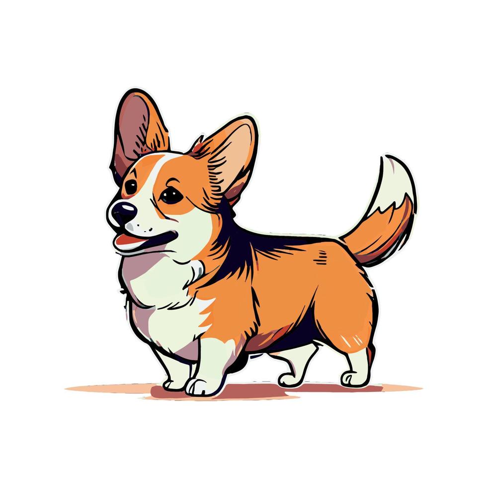 Realistic dog breed Corgi, on a white background - Vector