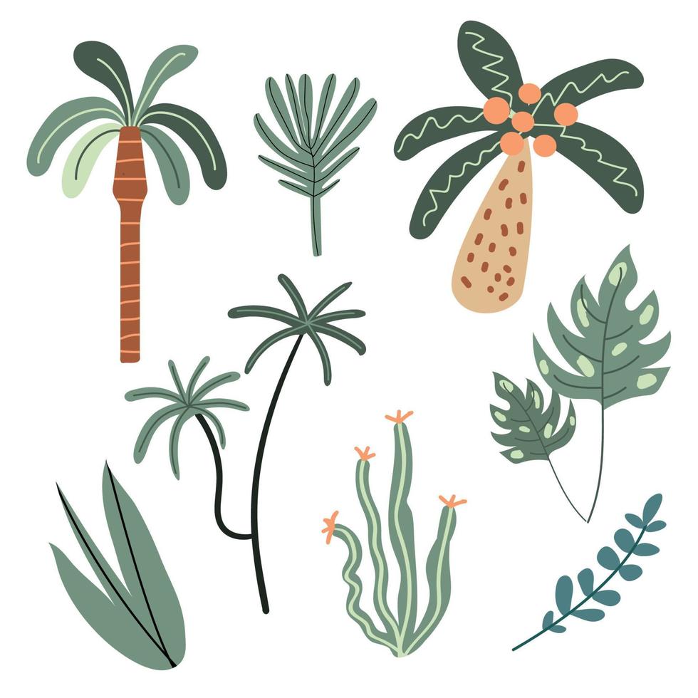 Vector set of tropical plants. Cute jungle plants. Palms, cacti, leaves. White isolated background. Hand drawn style.
