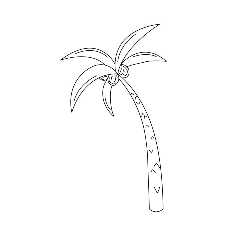 palma árbol garabatear aislado. vector ilustración de linda mano dibujado contorno tropical árbol. palma y cocos negro y blanco Escribiendo diseño elemento. verano vacaciones símbolo