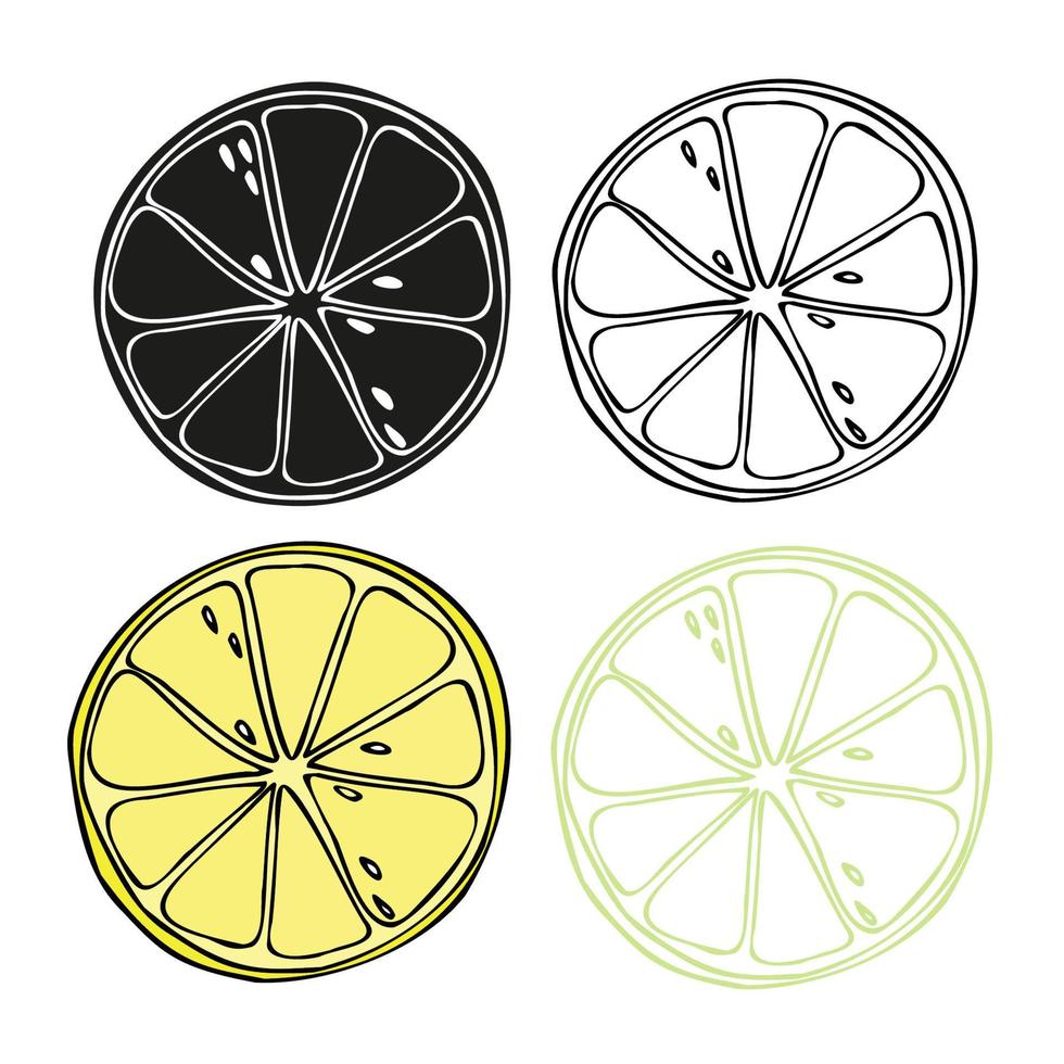 Lemon summer fruit design vector