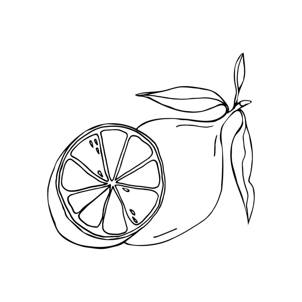 Lemon summer fruit design vector
