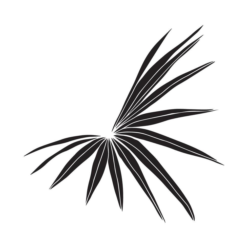 Jungle leaves tropical design vector