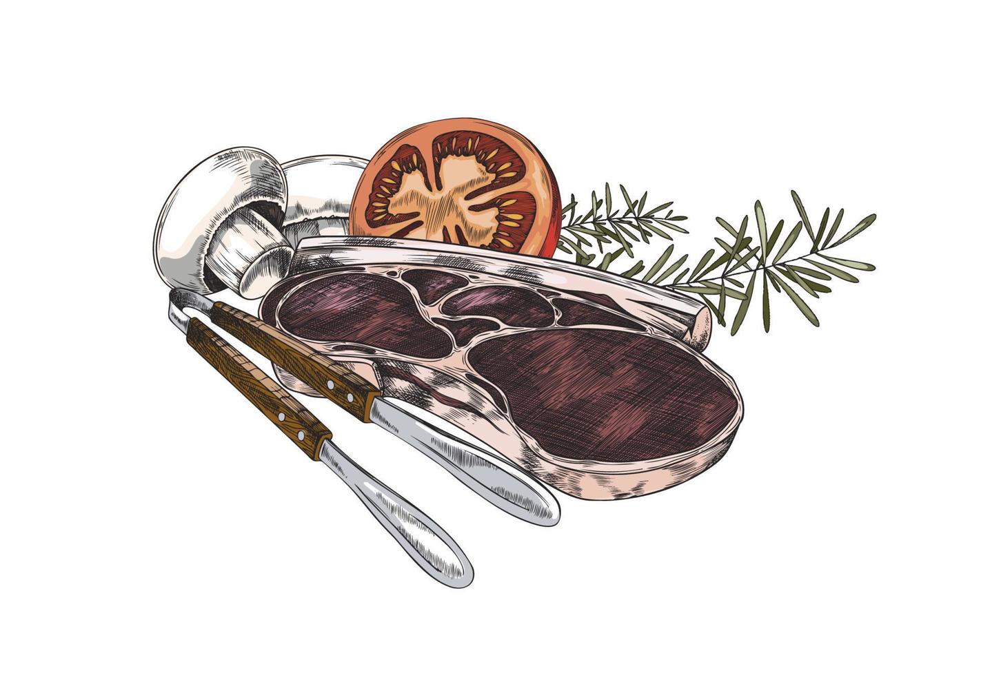 Grilled meat steak with vegetables and herbs, vector illustration isolated.