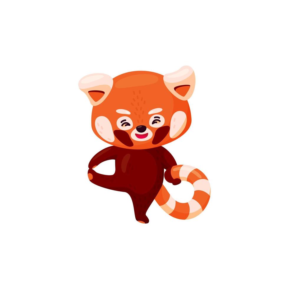 Red panda lifting one leg. Cute baby red panda practicing yoga isolated in white background. Vector illustration