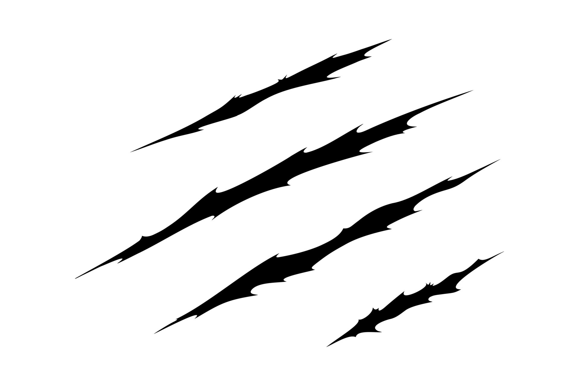 Claw scratches of wild animal. Cat scratches marks isolated in white background. Vector