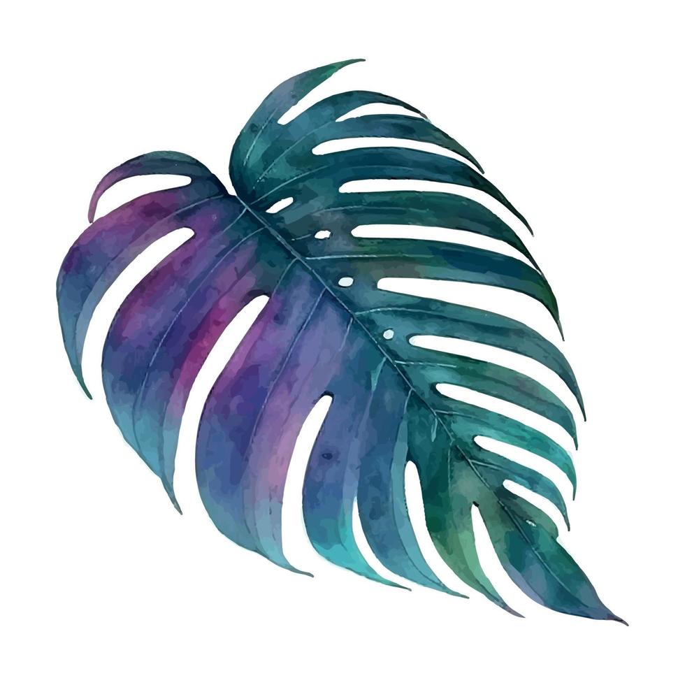 vector tropical leaf, monstera. watercolor illustration exotic plant