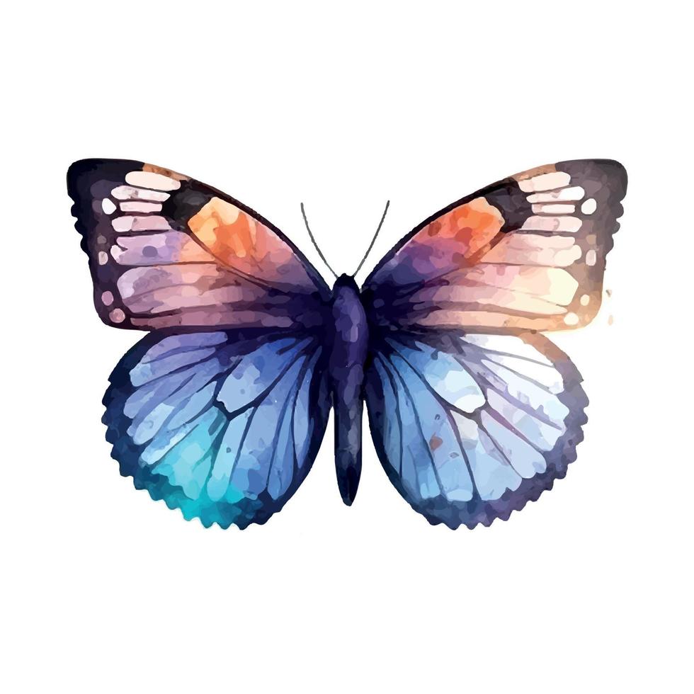 blue purple butterfly watercolor isolated on a white background vector