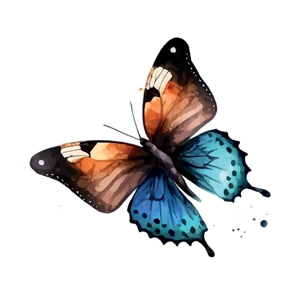 butterfly watercolor isolated on a white background vector