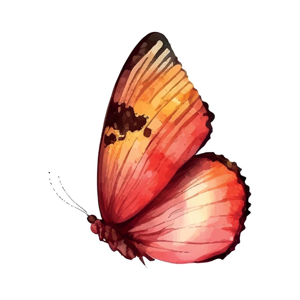 mariposa acuarela aislado en un blanco antecedentes vector