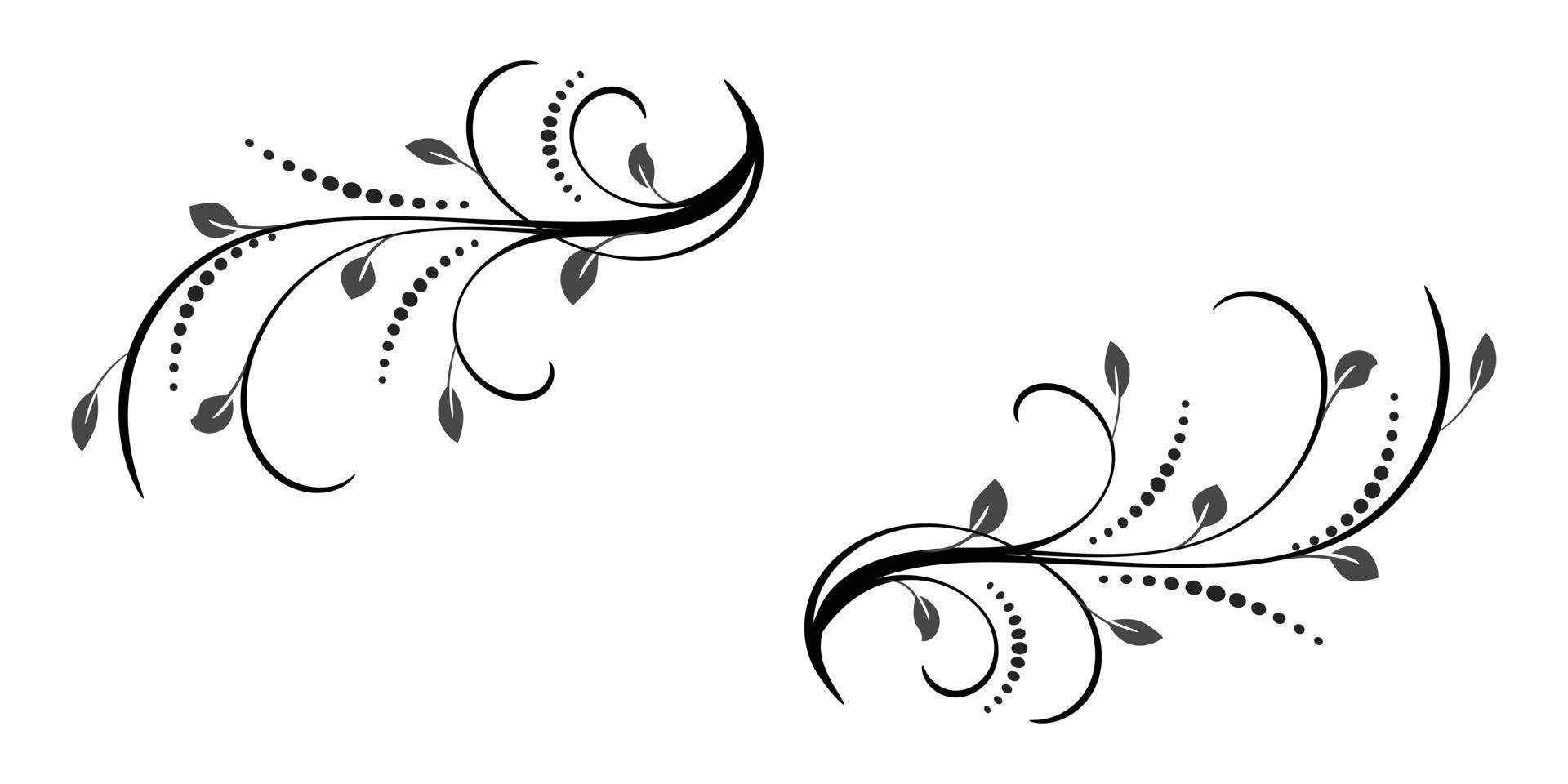 Beautiful floral ornament vector