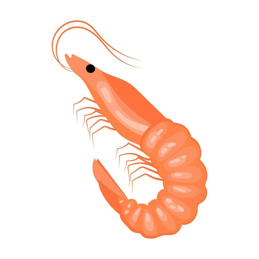 Shrimp on a white background, seafood. Illustration, menu icon, vector