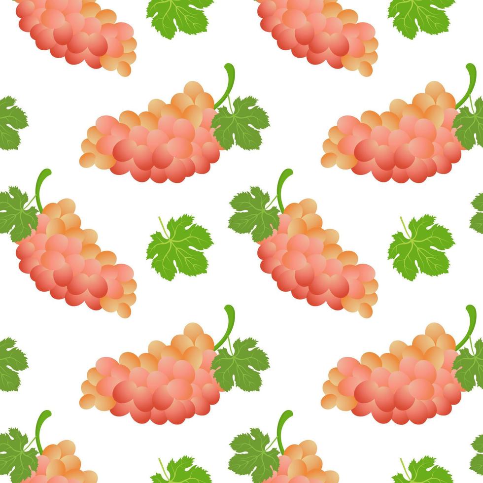 Seamless pattern with bunches of grapes and leaves on a white background. Fruit background, print, textile, vector