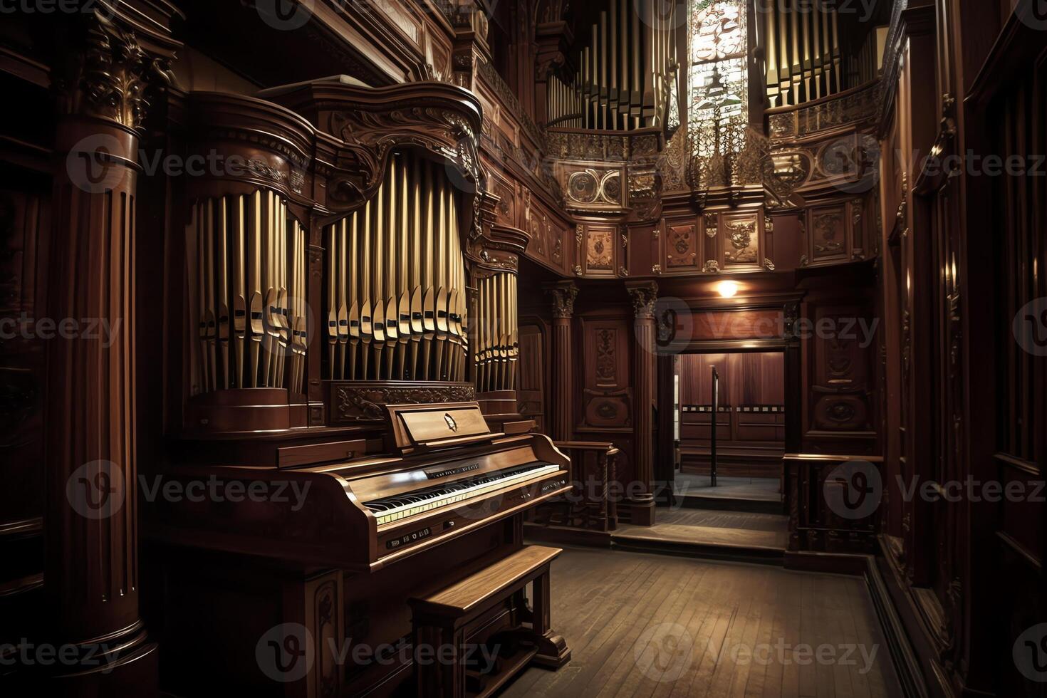 Gorgeous organ. aesthetic photo