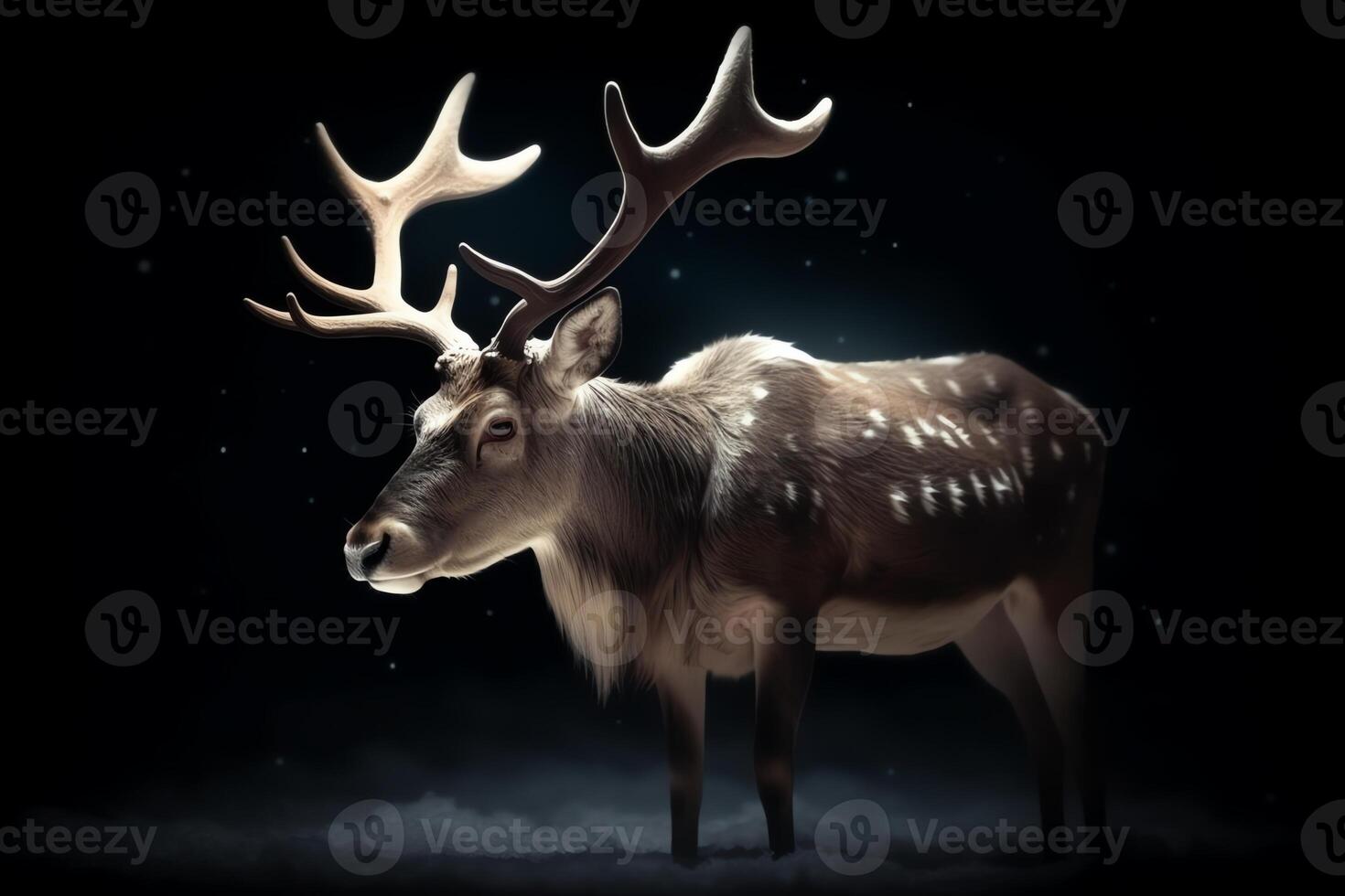 Reindeer with glowing horns at night Christmas holiday photo