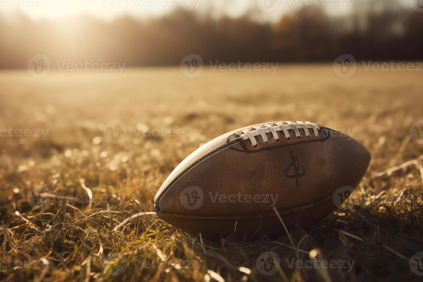 American football on a field. photo