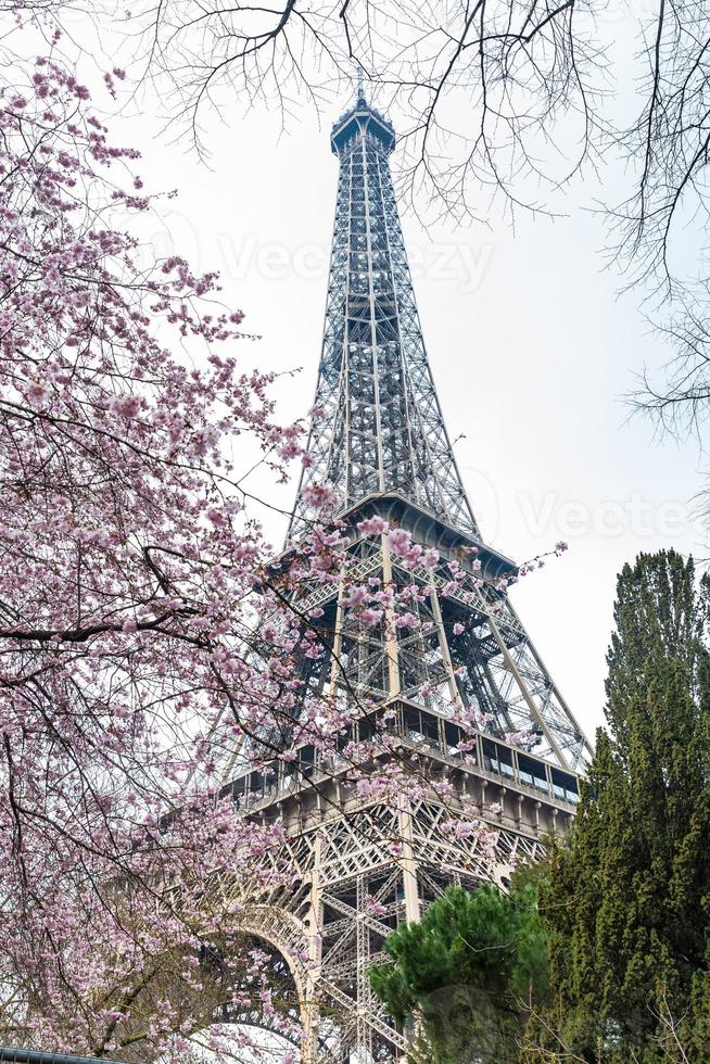 The famous Tour Eiffel when the spring is just beginning photo