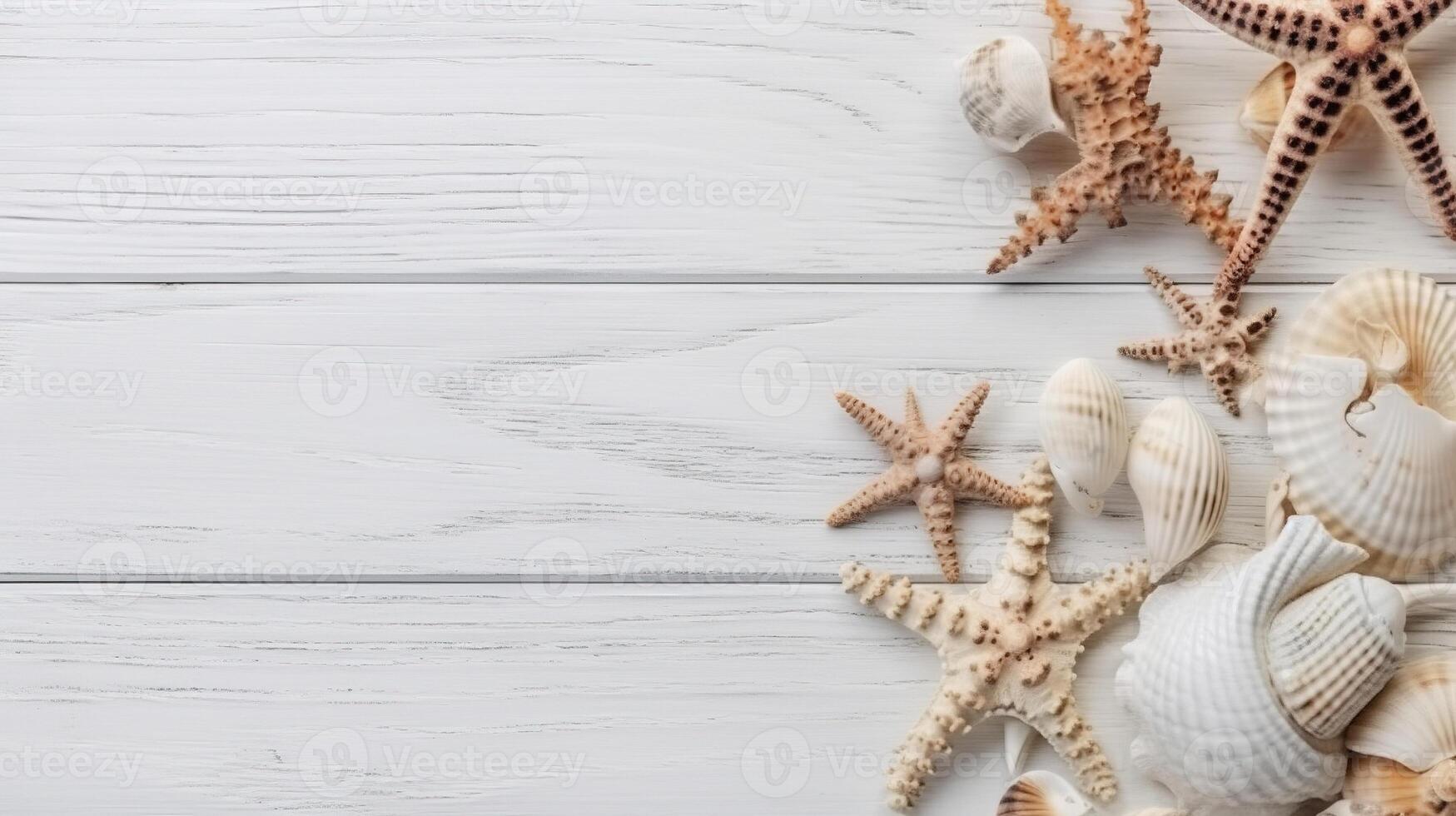 Creative travel minimal concept. Starfish and sea shells isolated on wood plank. view, mock up, copy space. top view, flat lay. . photo