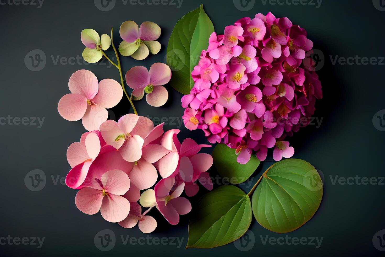 Flat lay pink orchids and hydrangea, bright nice color. photo