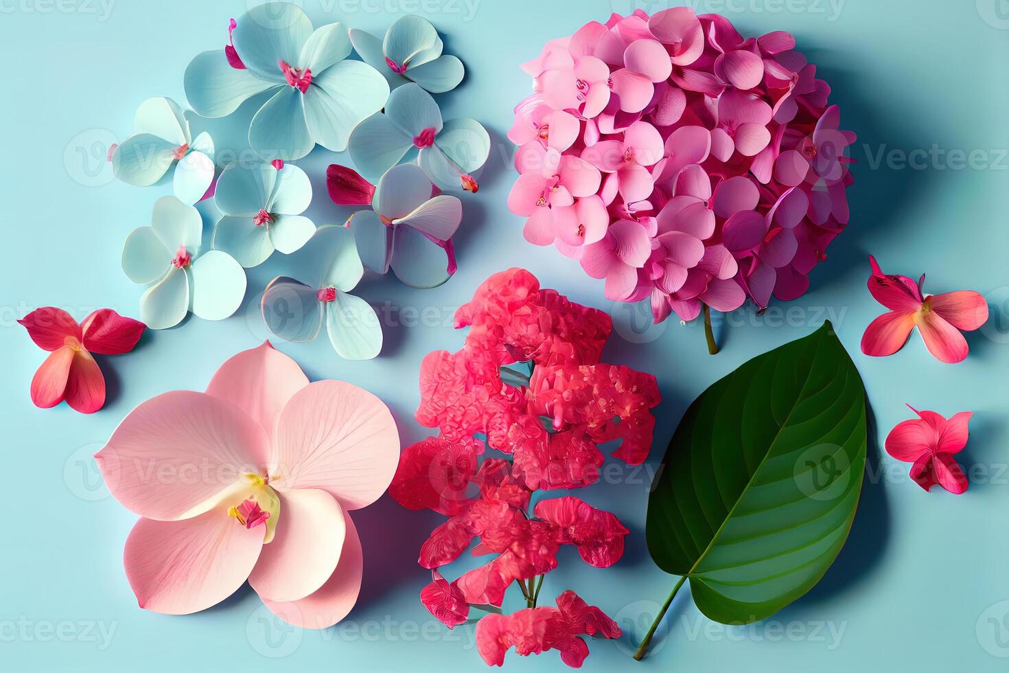 Flat lay pink orchids and hydrangea, bright nice color. photo