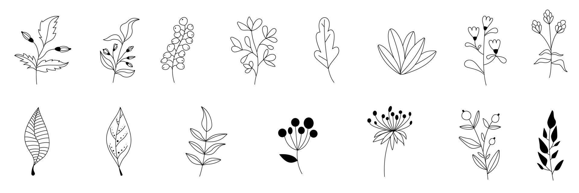 Autumn vector set of black branches and herbs.