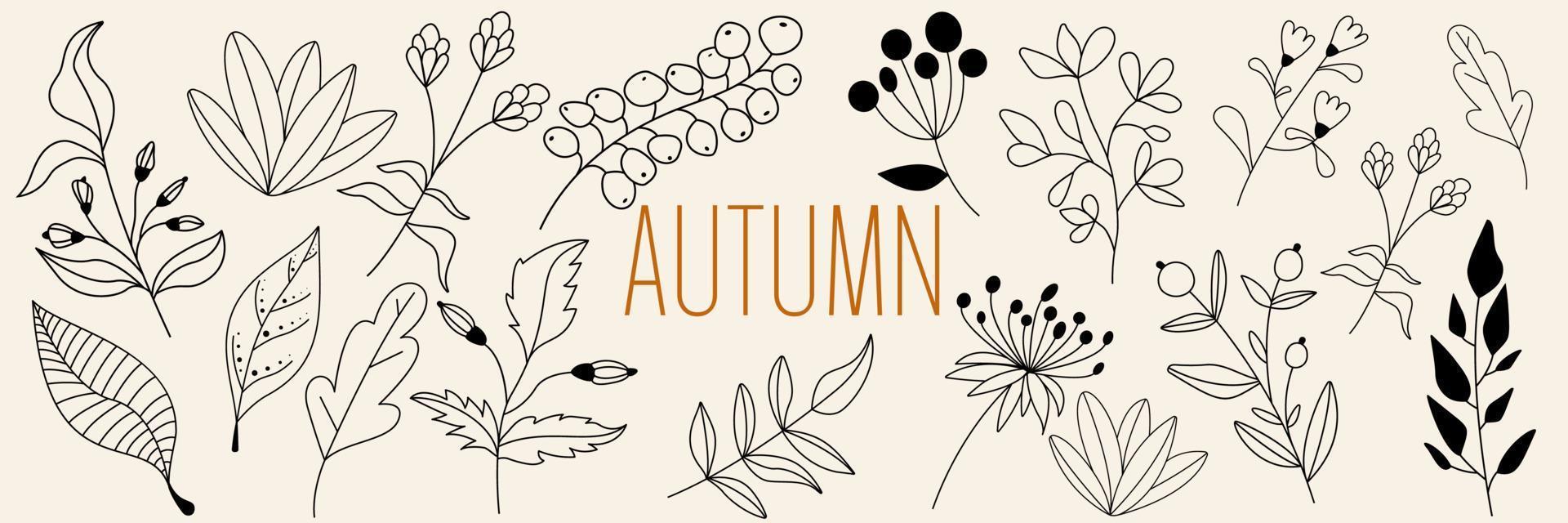 Autumn collection forest fern eucalyptus art foliage natural leaves herbs in line style. Decorative beauty elegant illustration for design hand drawn flower. vector