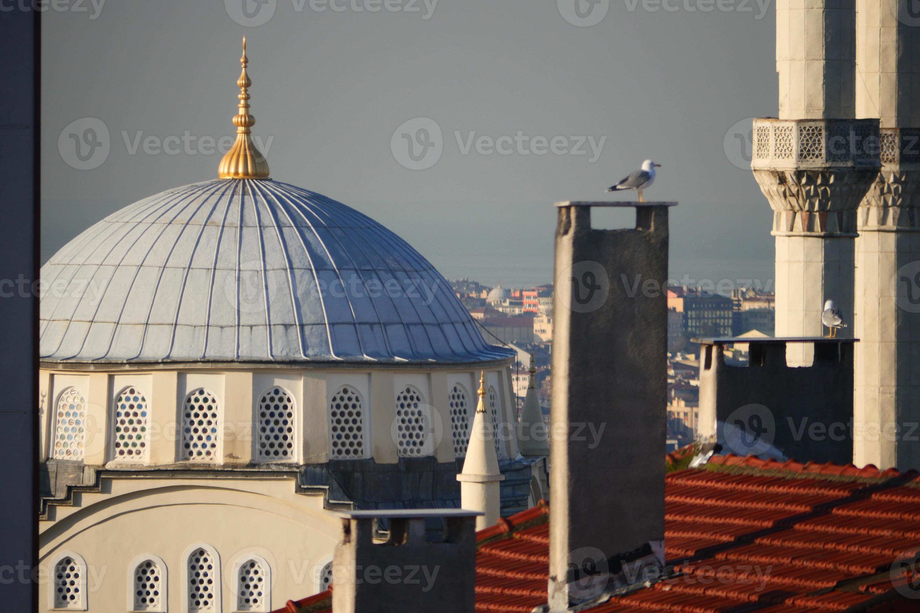 Istanbul the capital of Turkey, eastern tourist city. 23146947 Stock