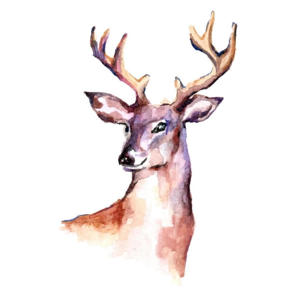 Watercolor deer over white background, Vector cartoon animals illustration art for wallpaper
