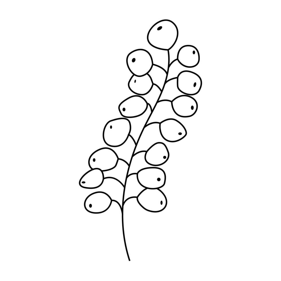 Black vector hand-drawn floral and botany elements. Autumn.