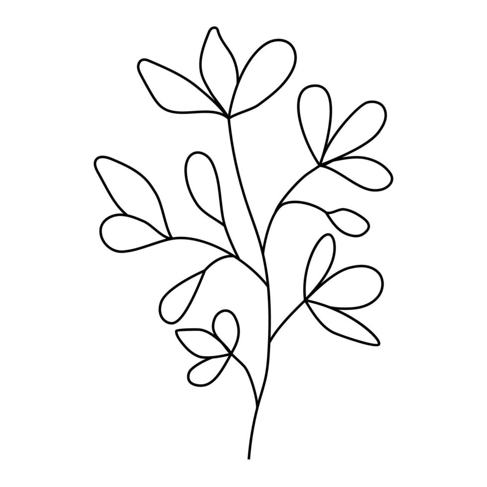 otoño bosque helecho eucalipto Arte follaje natural hojas hierbas en línea estilo. decorativo belleza elegante ilustración para diseño mano dibujado flor. vector