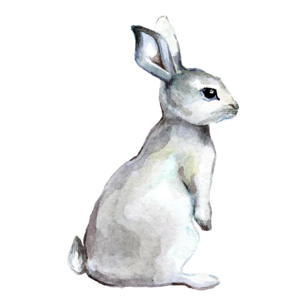 Cartoon rabbit Watercolor vector Illustration isolated on white background wallpaper animals. Cute easter bunny hand drawing art